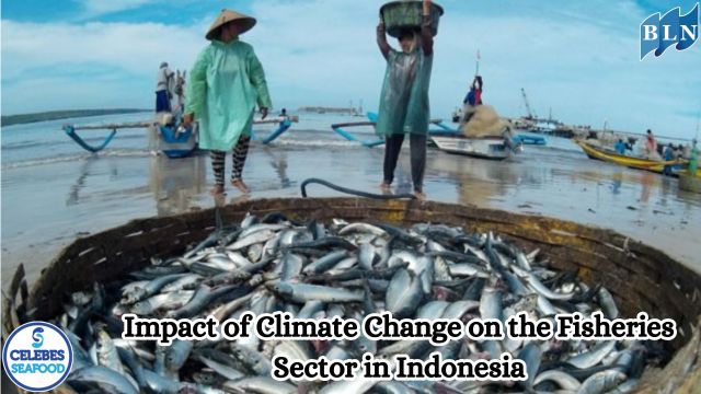 Impact of Climate Change on the Fisheries Sector in Indonesia